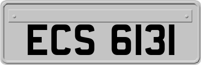 ECS6131