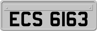 ECS6163