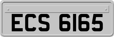 ECS6165