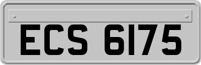 ECS6175