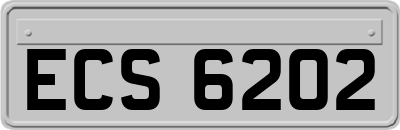 ECS6202