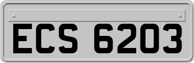 ECS6203