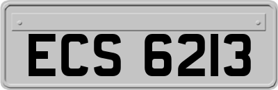 ECS6213