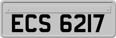 ECS6217