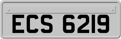 ECS6219
