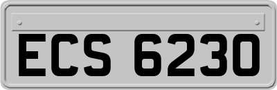 ECS6230