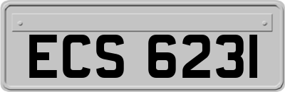 ECS6231