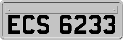 ECS6233