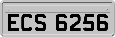 ECS6256