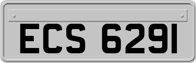 ECS6291