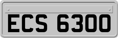 ECS6300