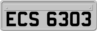 ECS6303