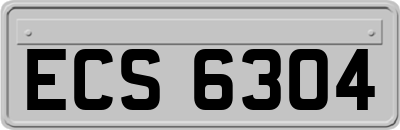 ECS6304