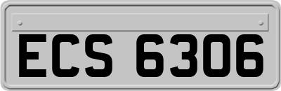 ECS6306