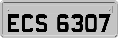 ECS6307