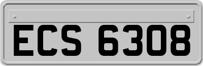 ECS6308