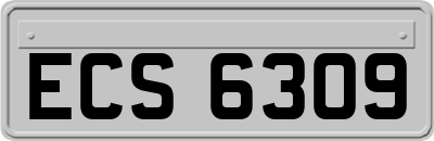 ECS6309
