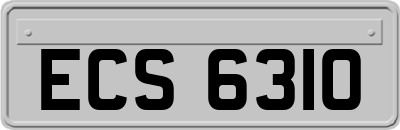 ECS6310