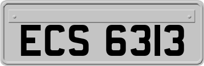 ECS6313