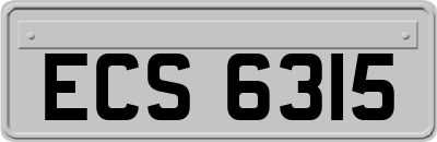 ECS6315