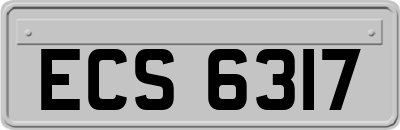 ECS6317