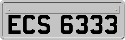 ECS6333
