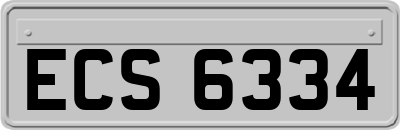 ECS6334