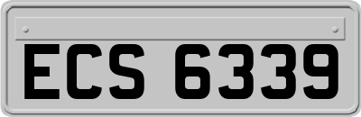 ECS6339