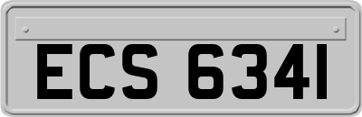 ECS6341