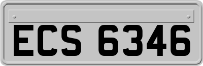 ECS6346