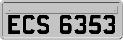 ECS6353