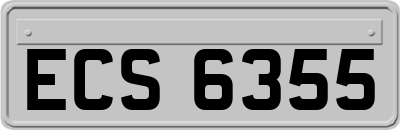 ECS6355