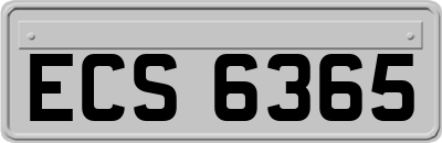ECS6365