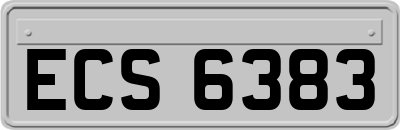 ECS6383