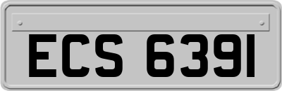 ECS6391