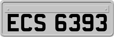 ECS6393