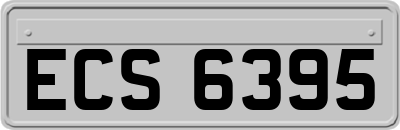 ECS6395