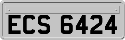 ECS6424