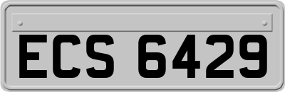 ECS6429