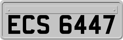 ECS6447