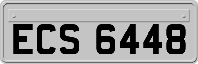ECS6448