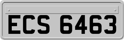 ECS6463