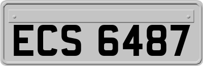 ECS6487