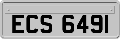 ECS6491