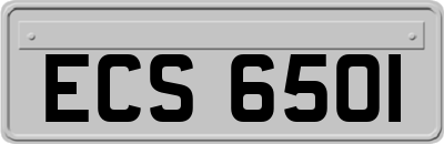 ECS6501