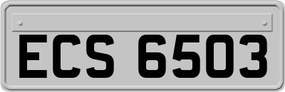 ECS6503