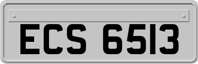 ECS6513