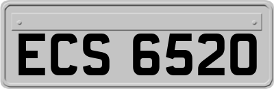 ECS6520