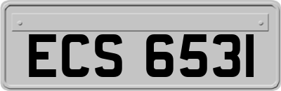 ECS6531