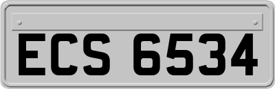 ECS6534